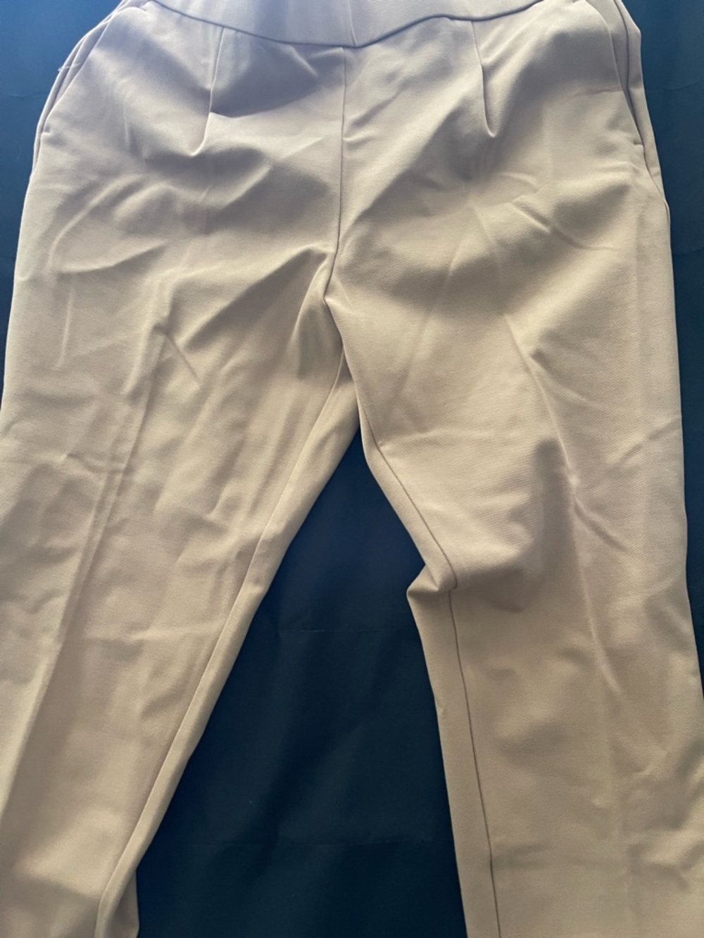 Ann Taylor Men's Light Beige Dress Pants - Tailored Crease